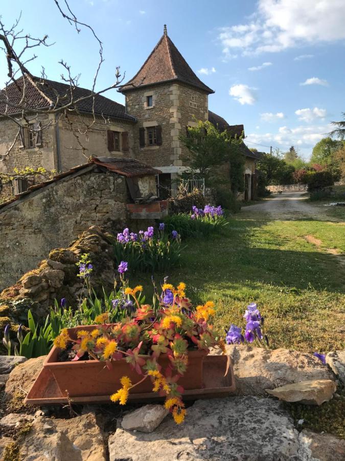 La Maison D Helene Hotel Cambes  Kültér fotó